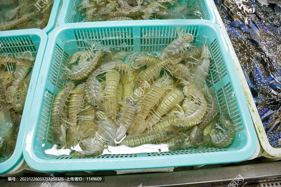 皮皮虾海鲜,海产品