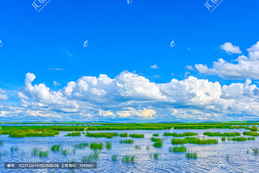 高原湖泊湿地