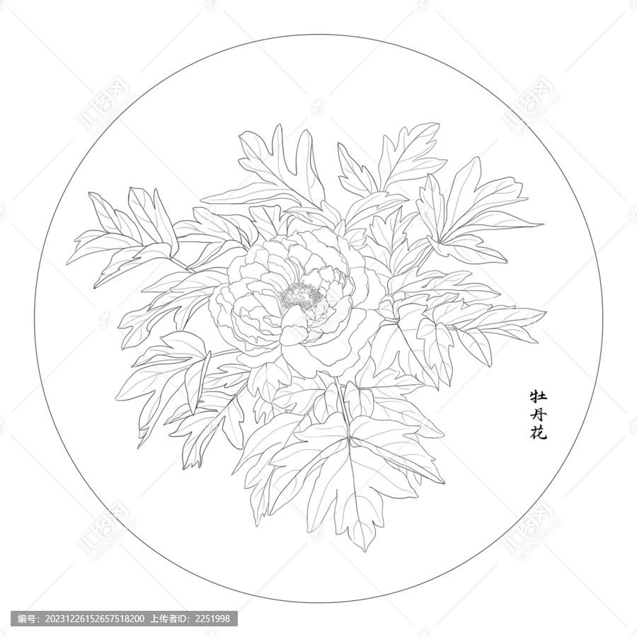 白描牡丹花