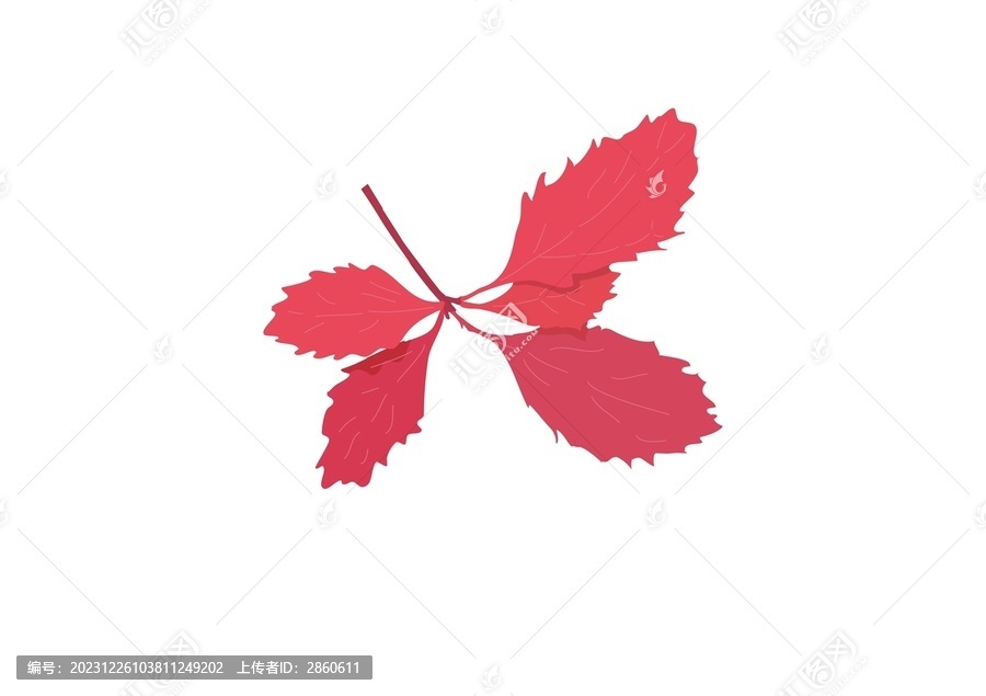 紅葉矢量圖