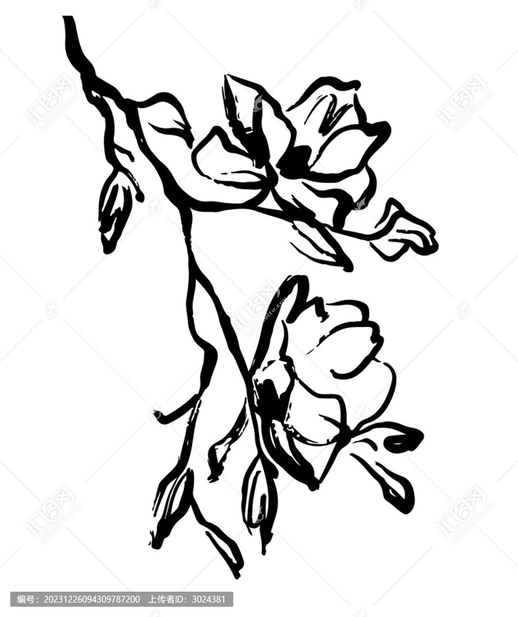 手繪花卉