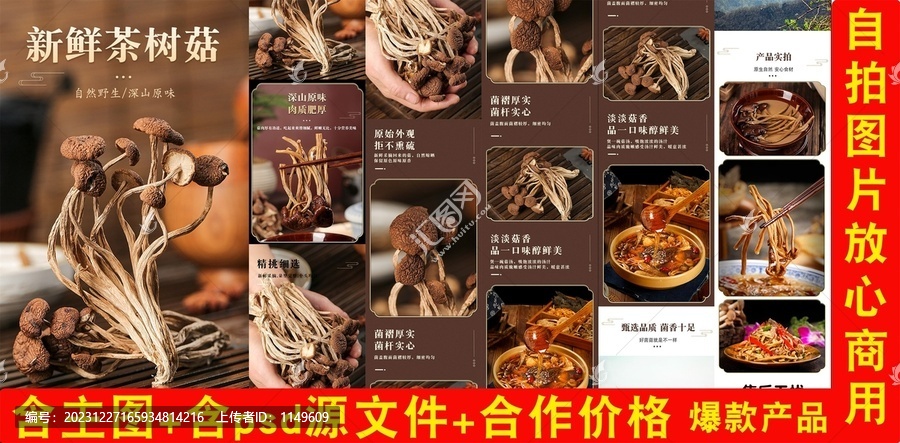 新鮮茶樹菇詳情