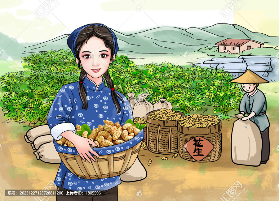 農(nóng)家女孩抱花生插畫秋收花生