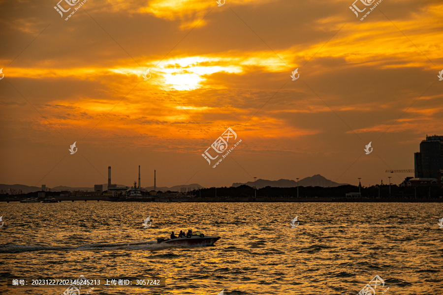 金色海面