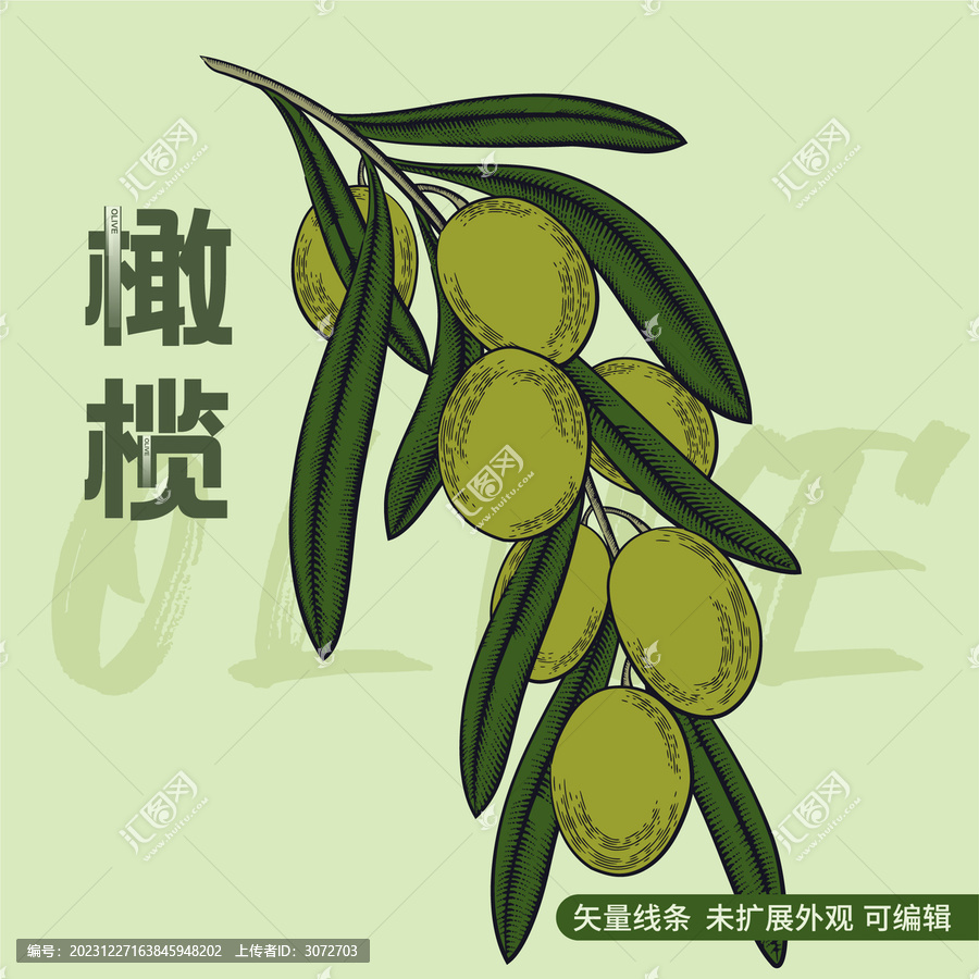 彩色復古線條版畫橄欖