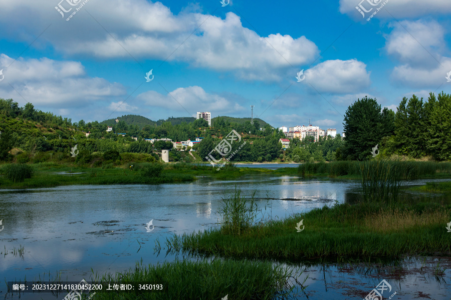 城市湿地