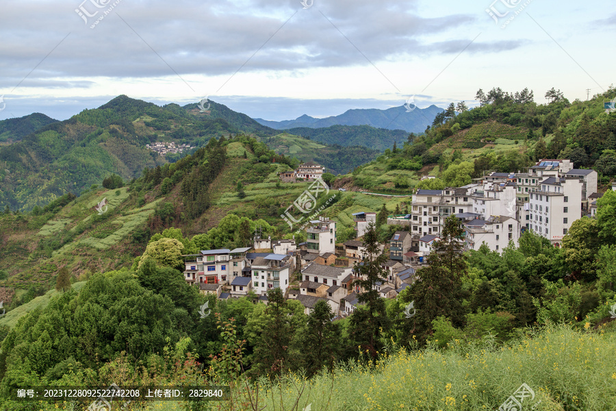 春天的皖南山村