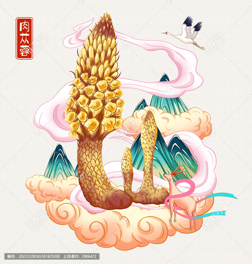 肉蓯蓉插畫手繪