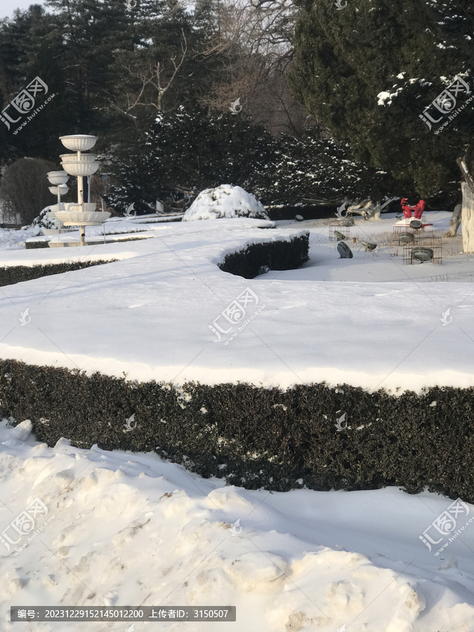 灌木铺雪