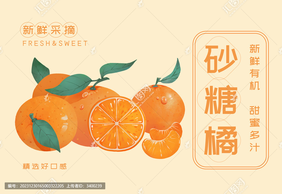 新鮮水果砂糖橘包裝封面插畫(huà)設(shè)計(jì)