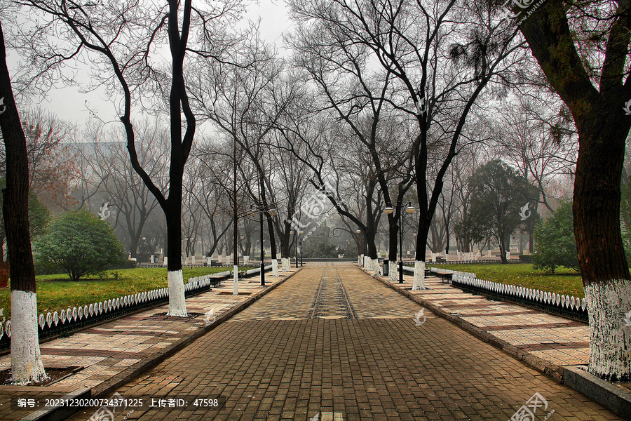 山东大学校园路