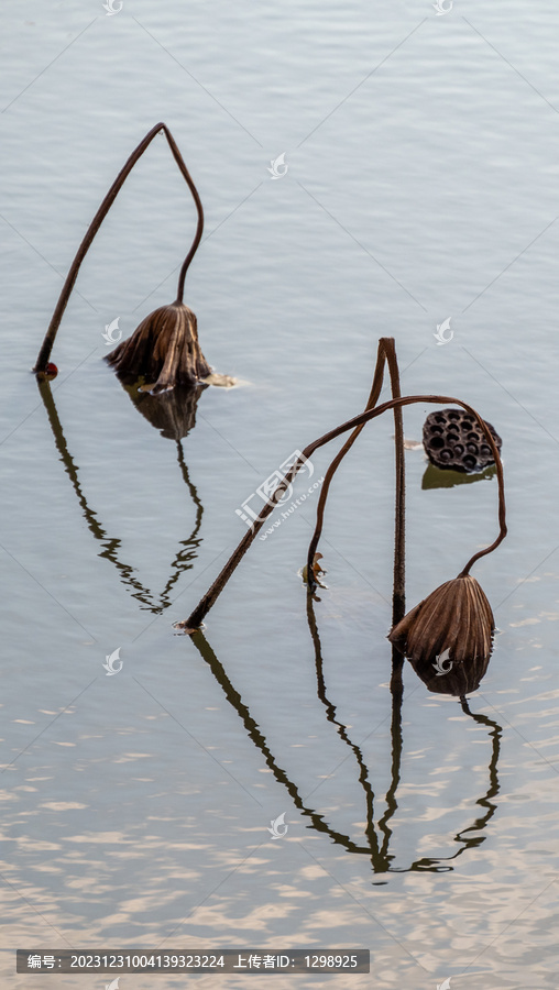 水面残荷