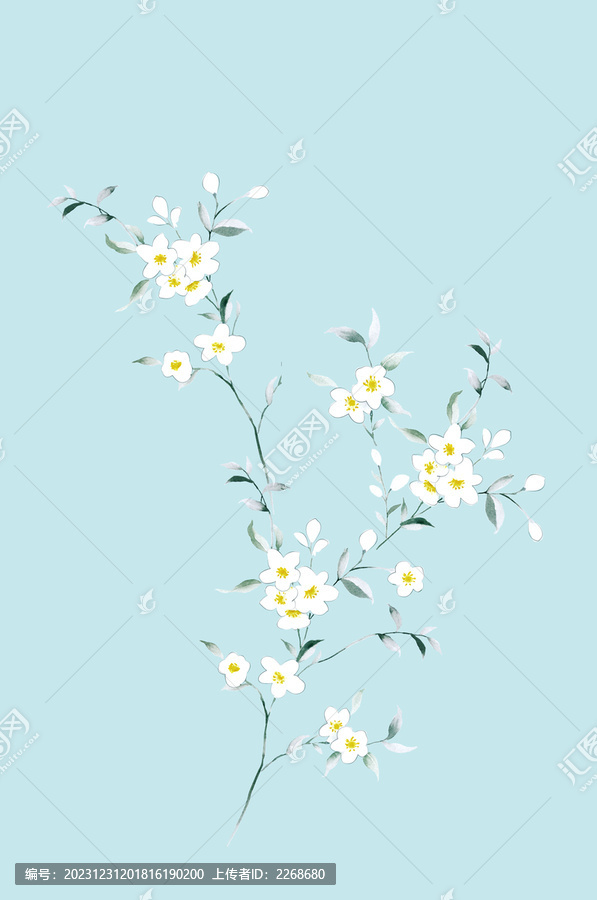 韓國小花