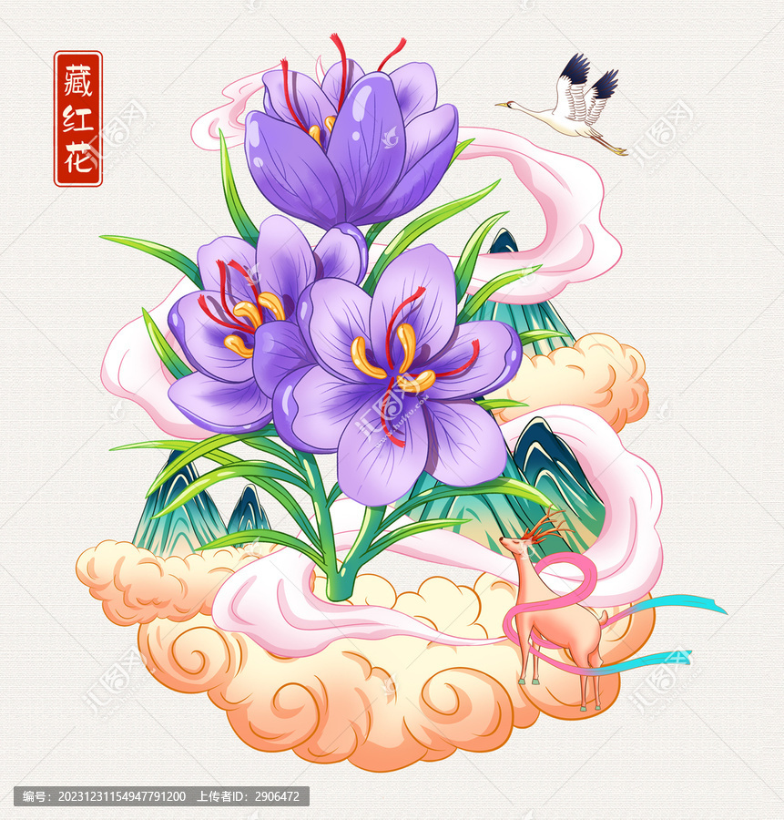 藏紅花插畫手繪
