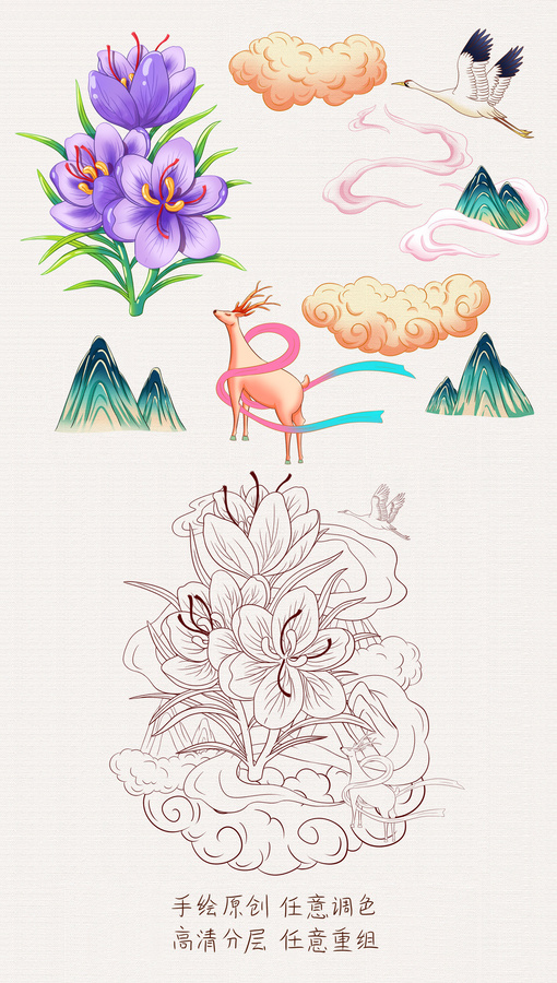 藏紅花插畫手繪