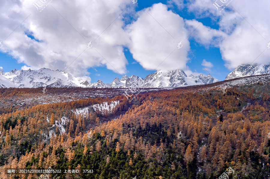 白马雪山