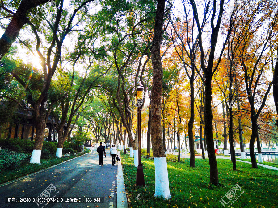 东湖梨园林间道秋景