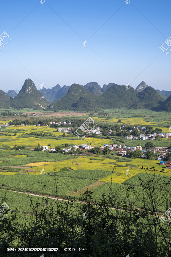 山景乡村风景