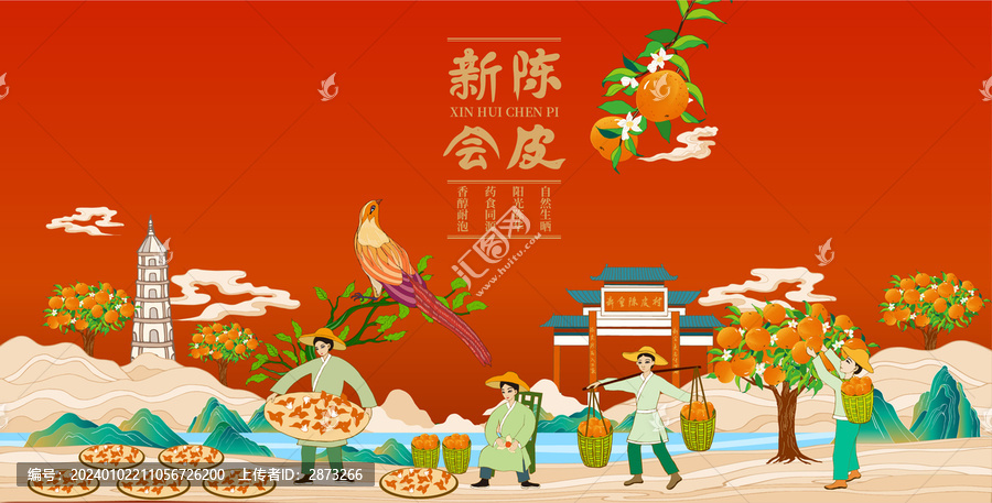 陳皮包裝設(shè)計(jì)
