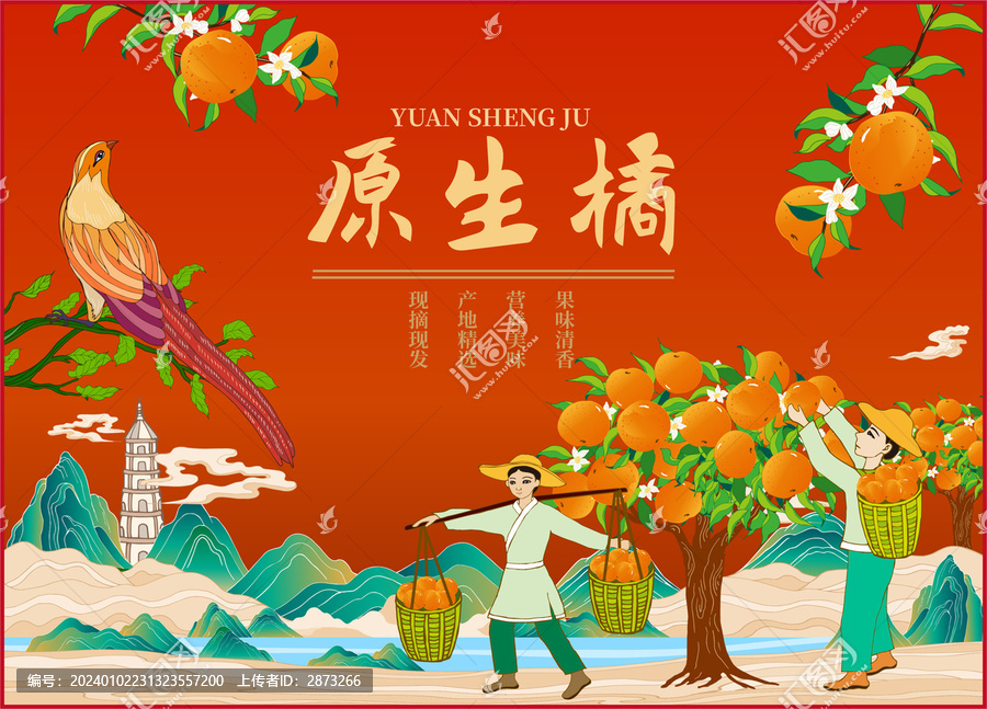 柑橘包裝