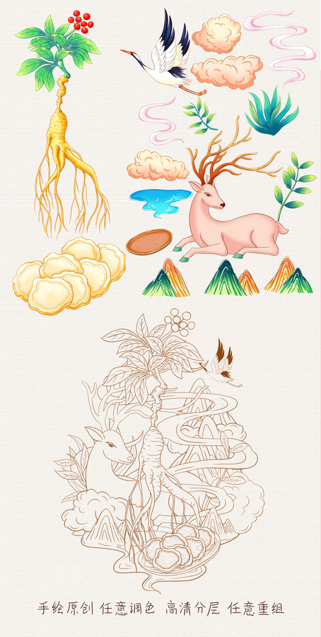 老山參插畫(huà)手繪