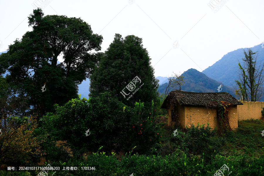 乡村风景