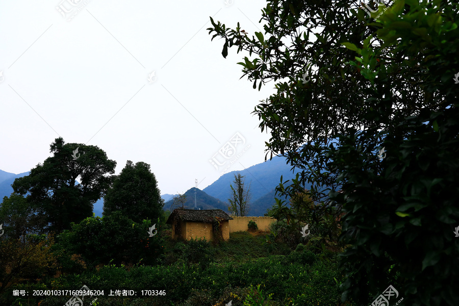 乡村风景