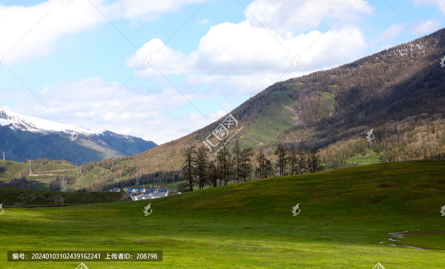 高山牧场