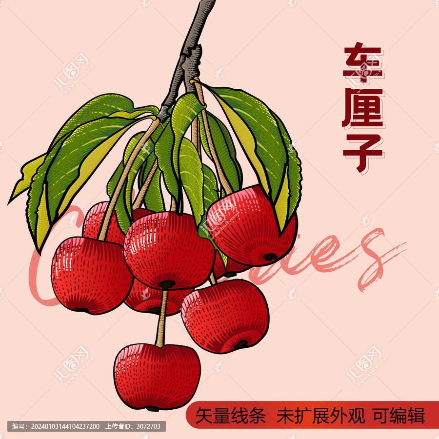 矢量彩色復(fù)古版畫(huà)