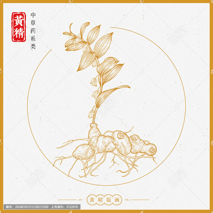 黃精