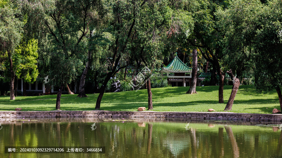 深圳洪湖公园景观小景