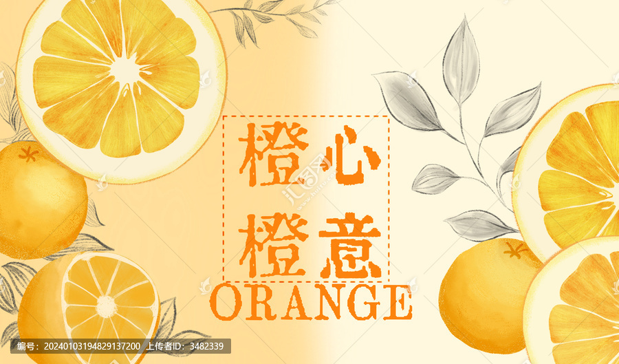 橙子包裝插畫圖案設(shè)計(jì)