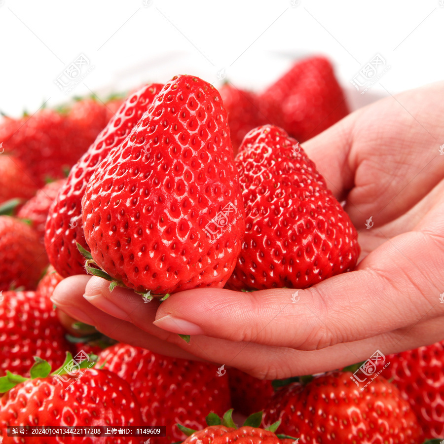 手里拿的新鲜丹东草莓