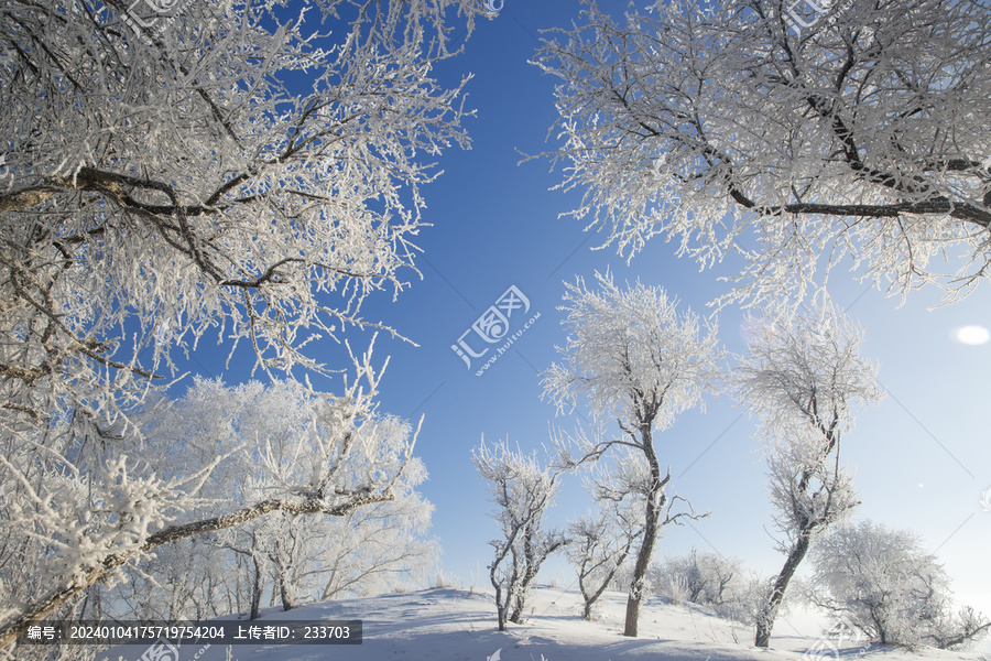 坝上雪景