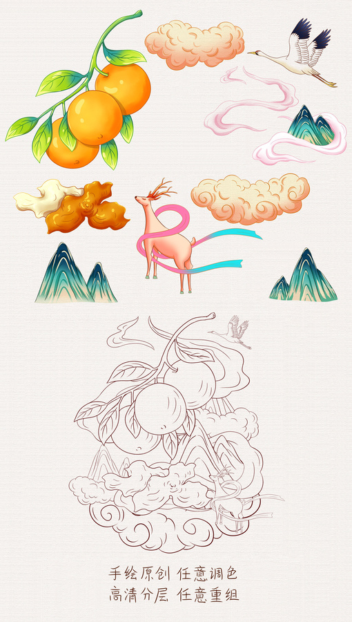 新會陳皮插畫手繪