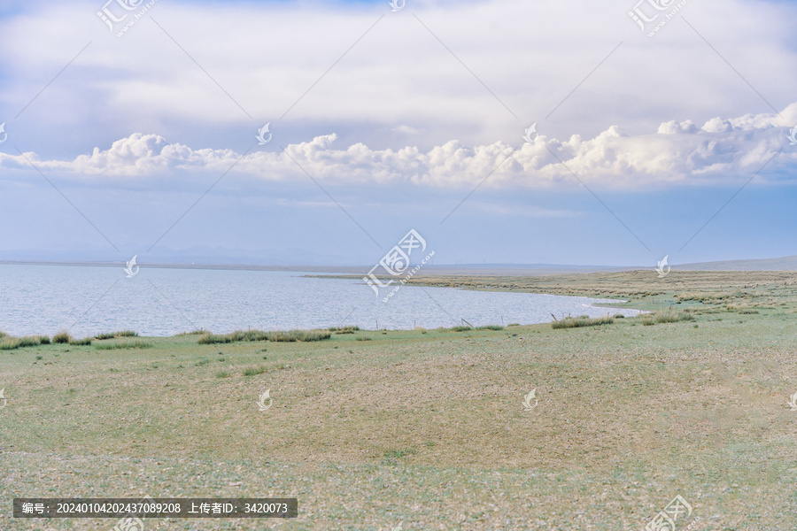 青海海北州青海湖尕海湖畔的草地