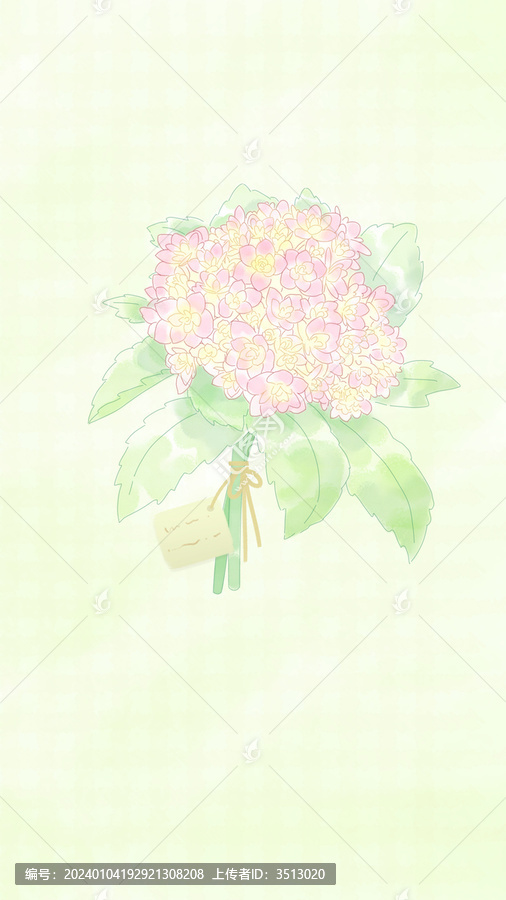 鮮花繡球花