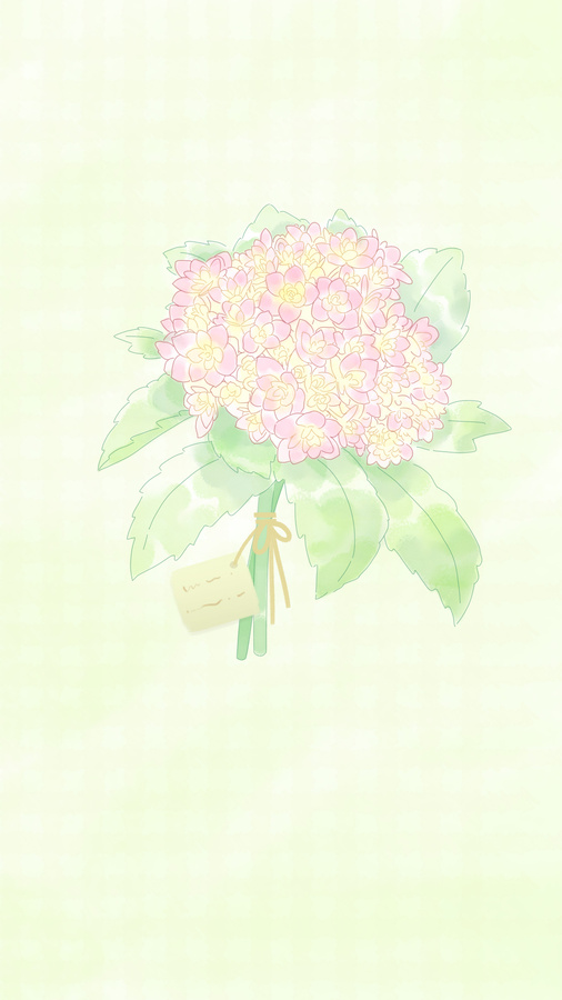 鮮花繡球花