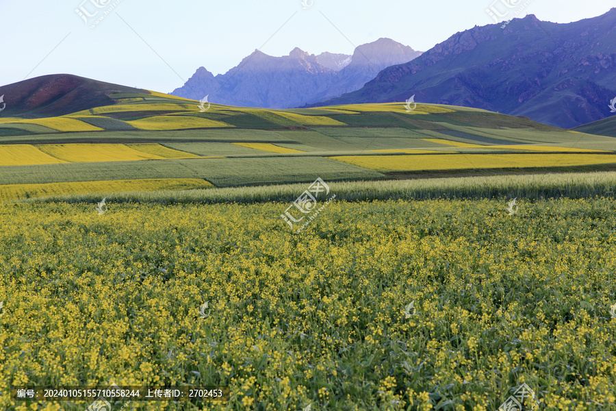 祁连县田园美景