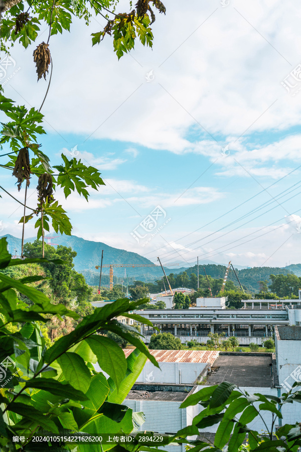 深圳梧桐山