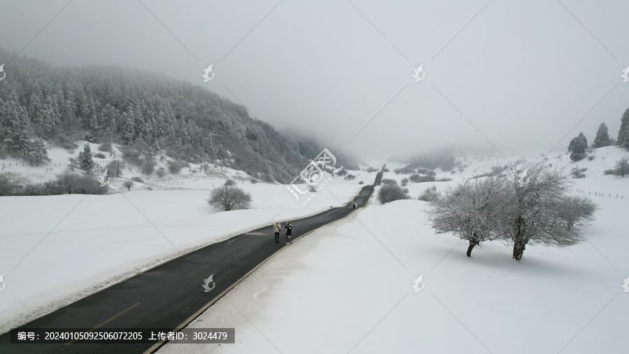 雪地公路