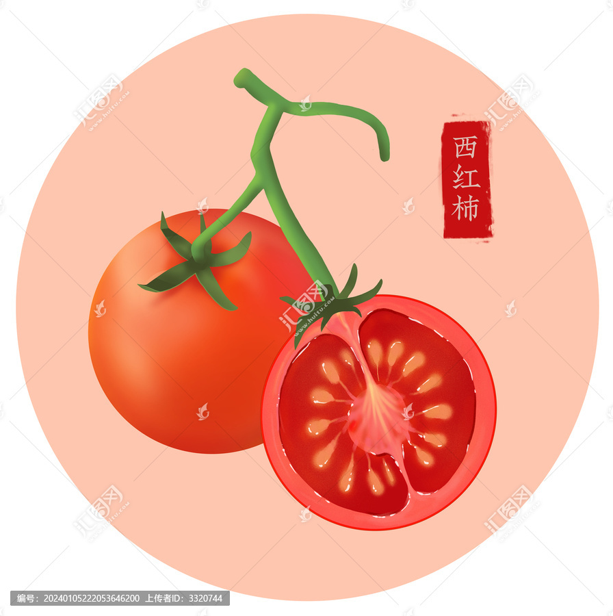 西紅柿圓形插畫