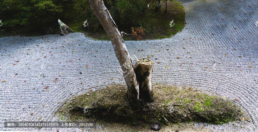 枯山水局部