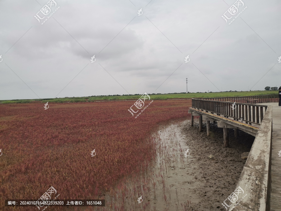 盘锦红海滩