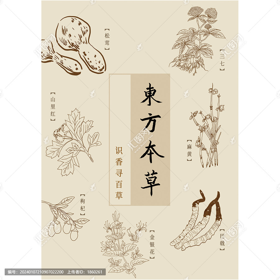 東方本草藥材海報