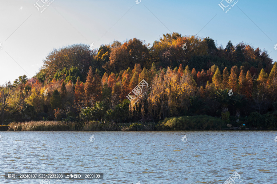 昆明呈贡区洛龙湖自然风景