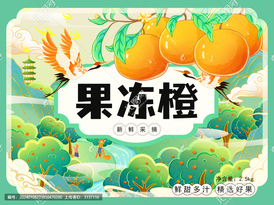 橙子包裝設(shè)計