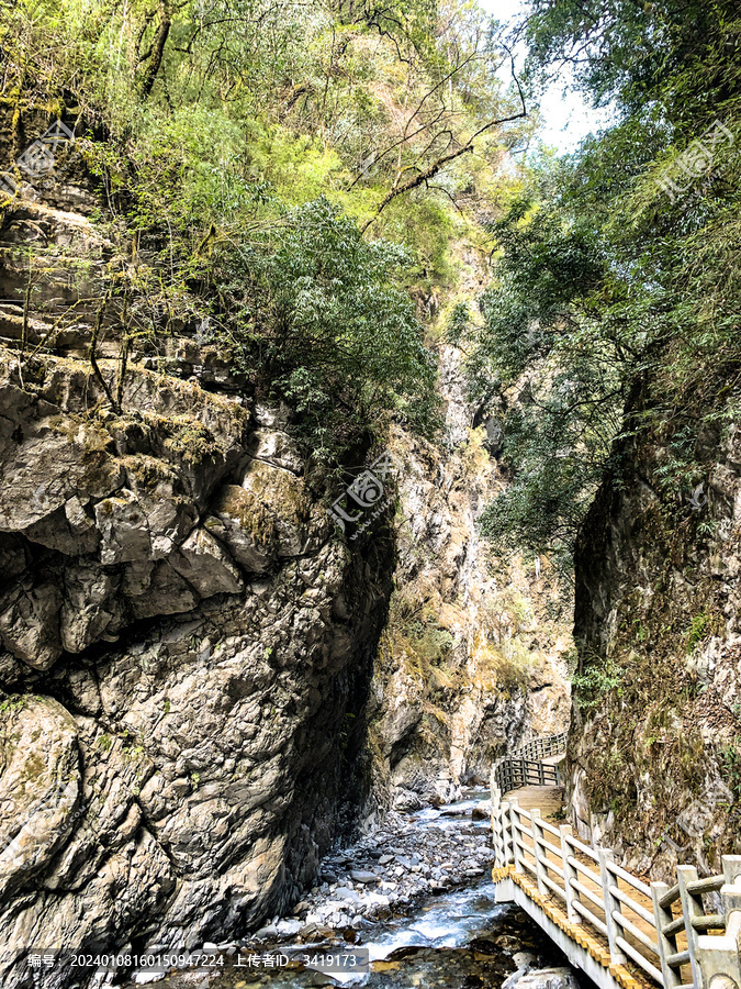 峡谷河流