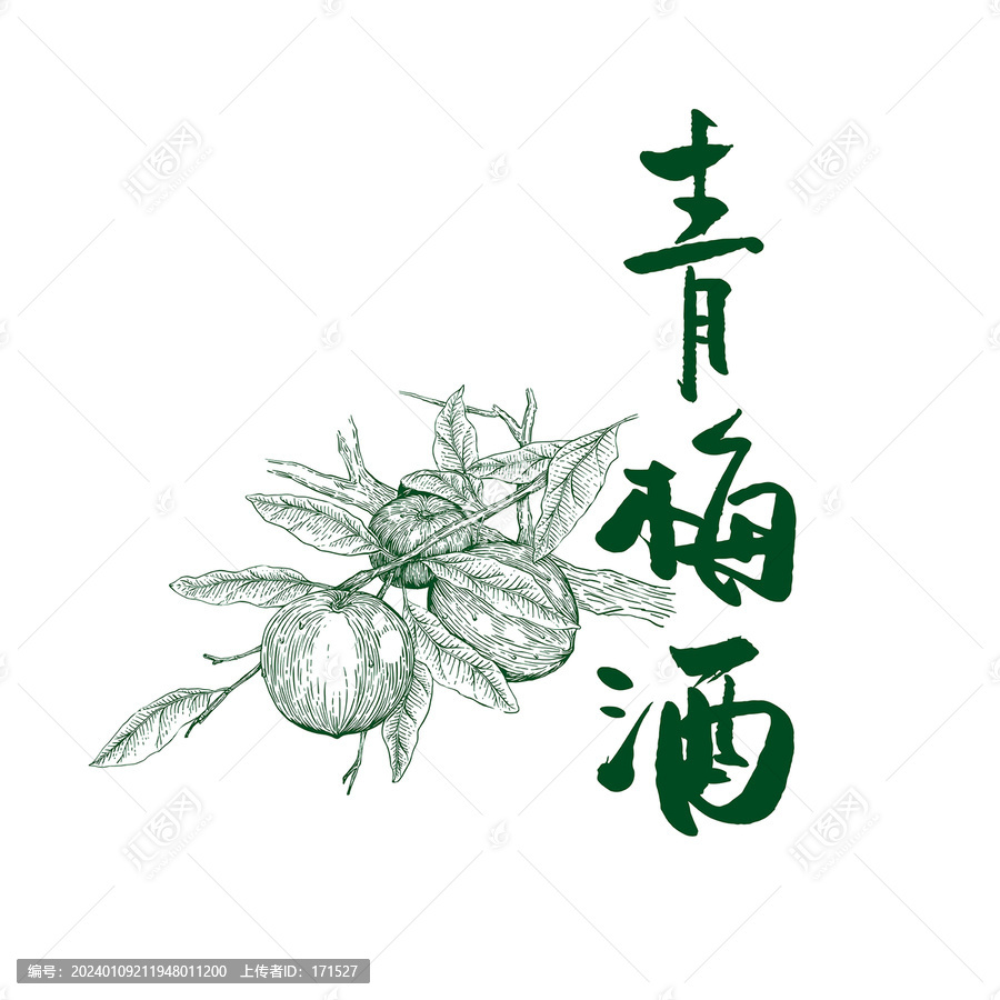 青梅酒