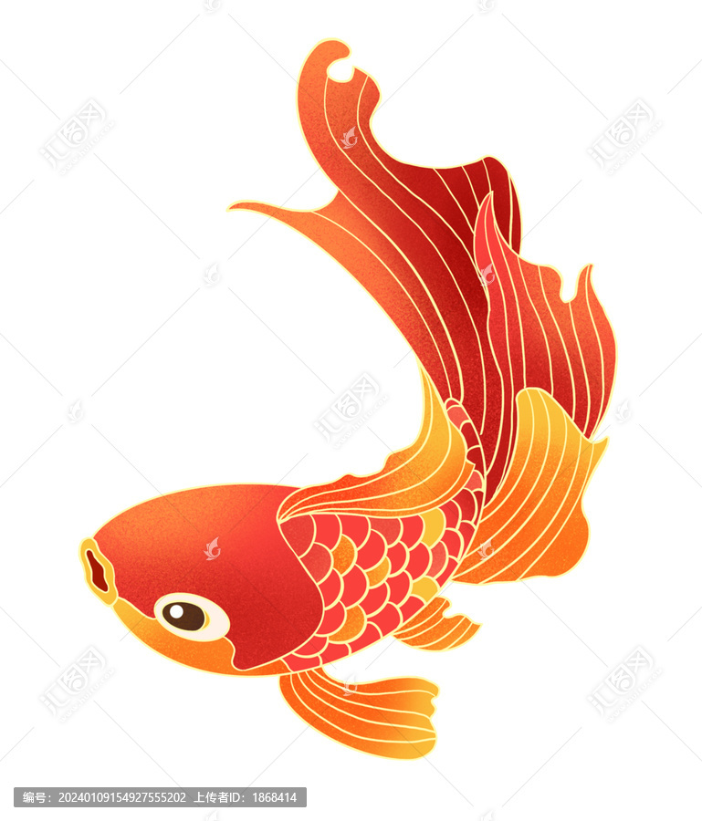 錦鯉